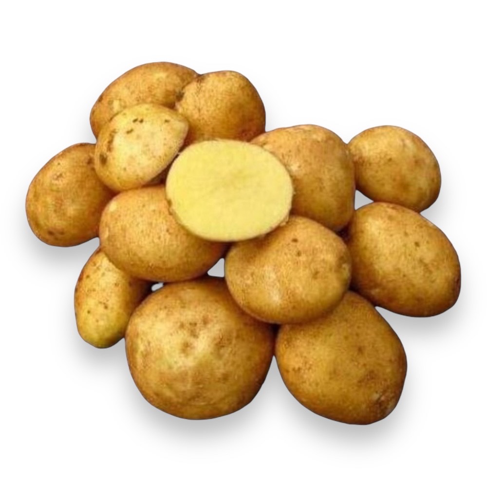 Картофель семенной 
