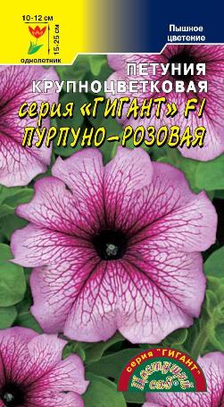 Петуния «Пурпурно-розовая F1» 10 шт Цветущий Сад